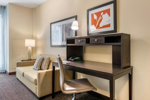 staybridge suites st petersburg downtown by ihg