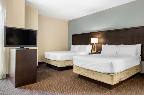 staybridge suites st petersburg downtown by ihg