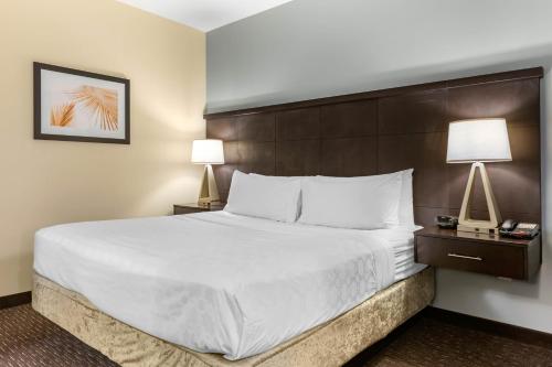 staybridge suites st petersburg downtown by ihg