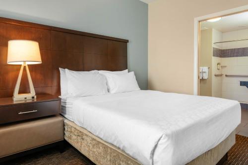 staybridge suites st petersburg downtown by ihg