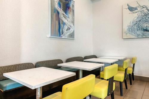 staybridge suites st petersburg downtown by ihg