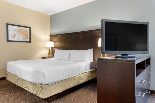 staybridge suites st petersburg downtown by ihg