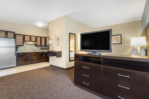 staybridge suites st petersburg downtown by ihg