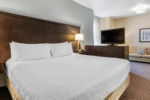 staybridge suites st petersburg downtown by ihg