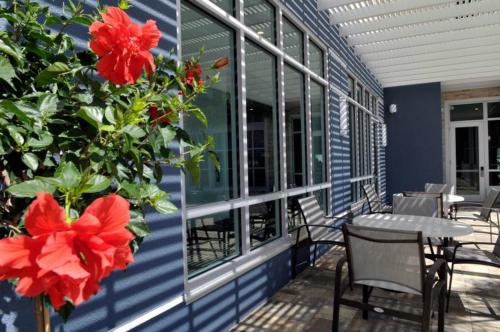 staybridge suites st petersburg downtown by ihg