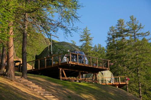 alpin dhome