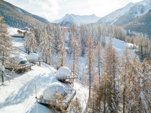alpin dhome