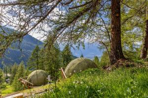 alpin dhome
