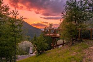 alpin dhome