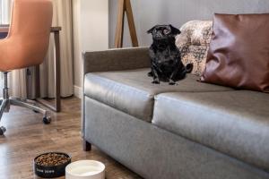 residence inn by marriott austin downtown convention center