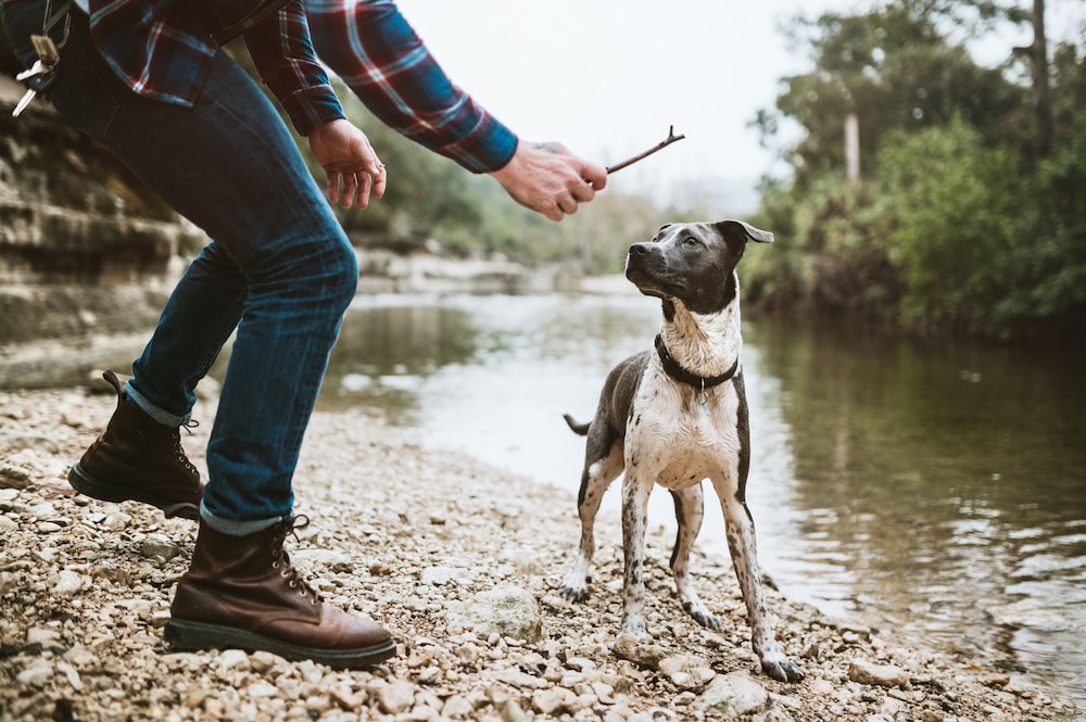 hampton inn and suites austin the university capitol