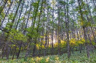 reddoorz plus near palembang icon mall 2