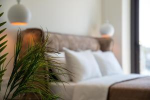 thetis boutique apartments