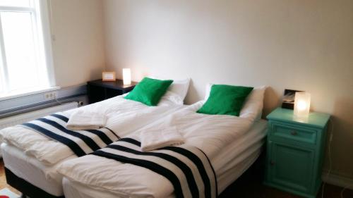 refurinn reykjavik guesthouse hostel