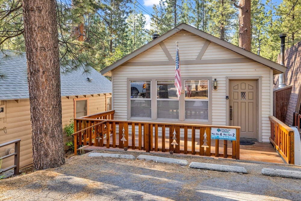 cedar pines 1529 by redawning