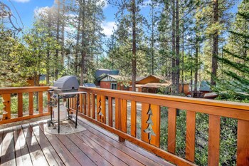 cedar pines 1529 by redawning