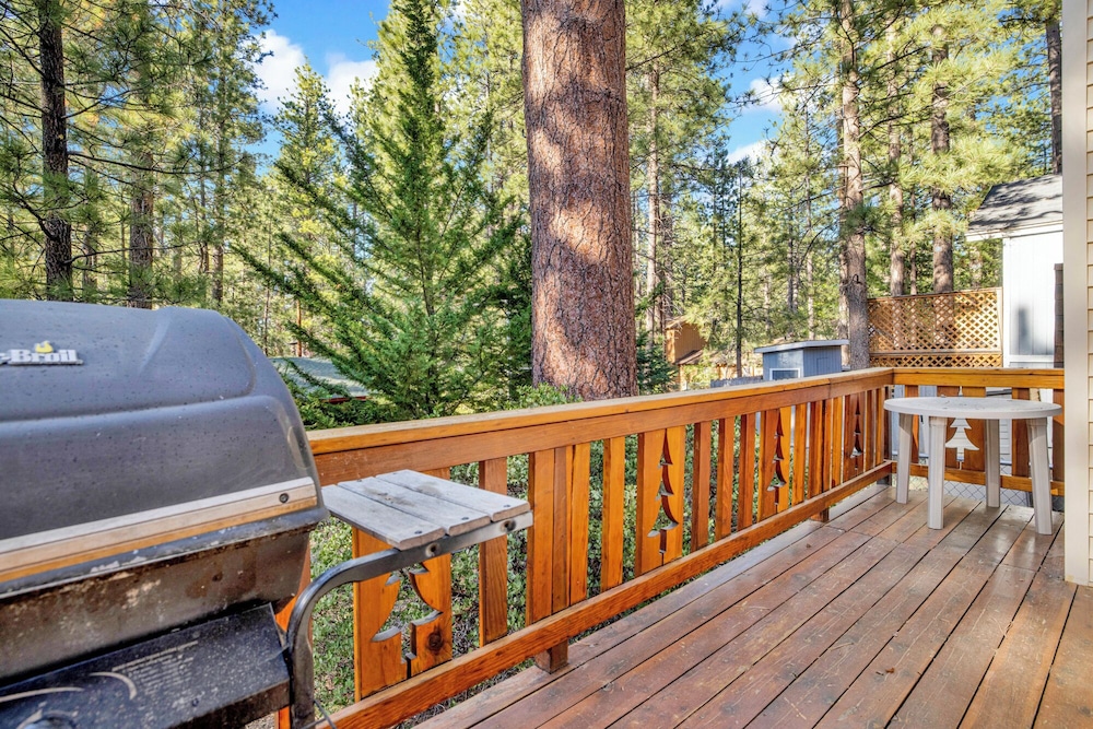 cedar pines 1529 by redawning