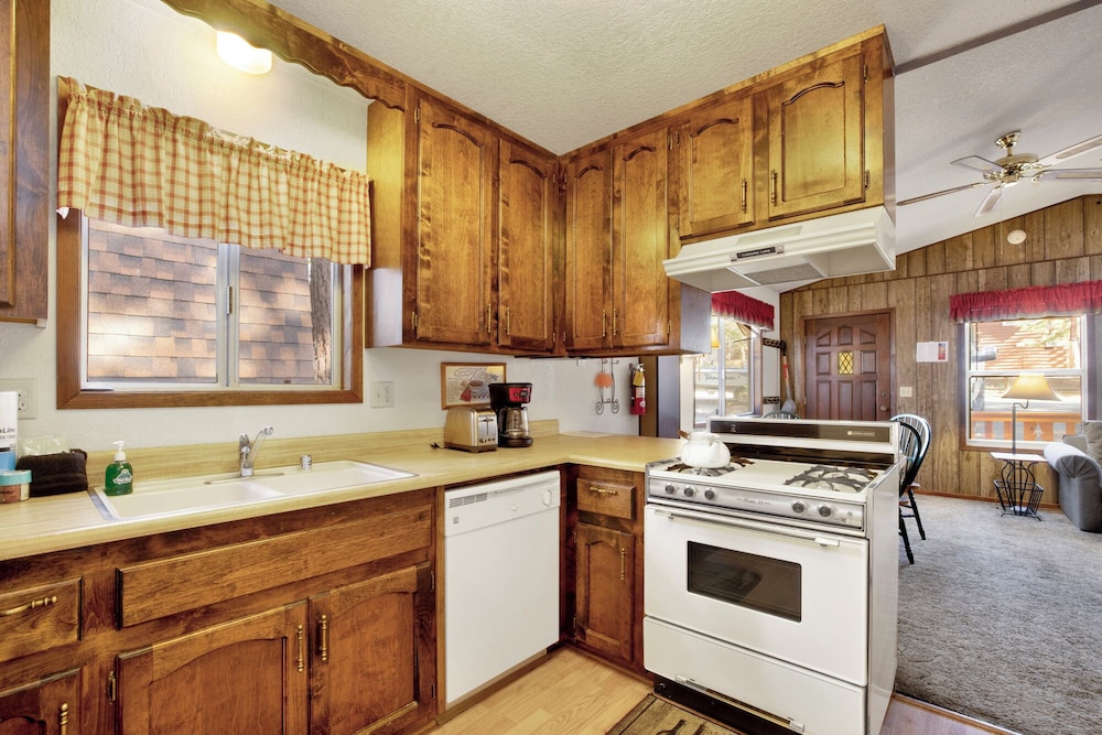 cedar pines 1529 by redawning