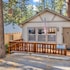 cedar pines 1529 by redawning
