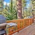 cedar pines 1529 by redawning