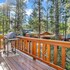 cedar pines 1529 by redawning