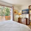 cedar pines 1529 by redawning