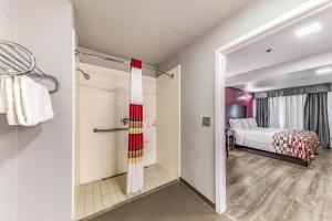 red roof inn dallas mesquite