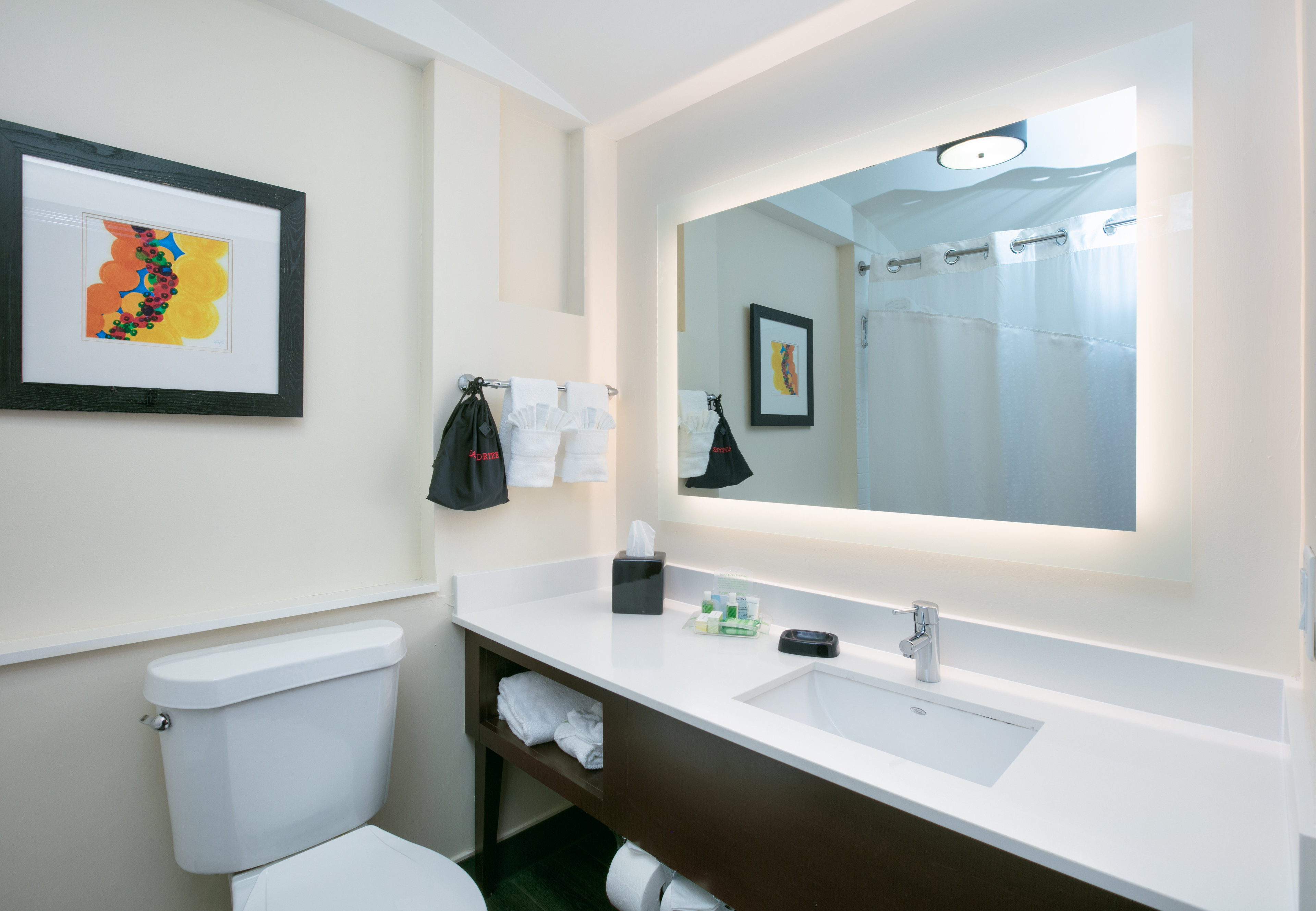 holiday inn dfw south by ihg