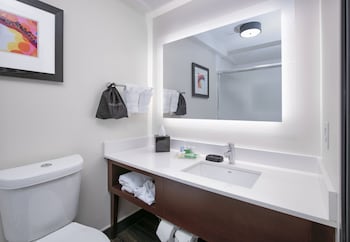 Holiday Inn Dfw South By Ihg,Near C.R. Smith Aviation Museum,3 star