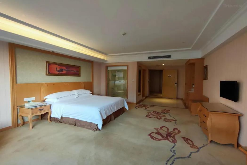 vienna hotel guangzhou baiyun airport zhongluotan