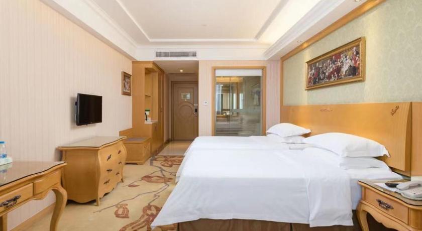 vienna hotel guangzhou baiyun airport zhongluotan