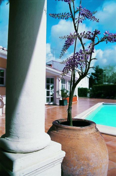 le manoir de lantiquite