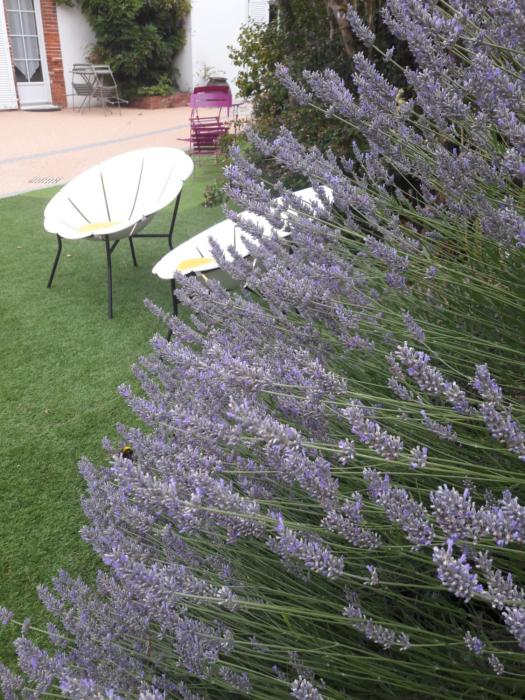 le manoir de lantiquite