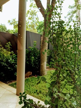 alpine attitude boutique hotel and conference venue