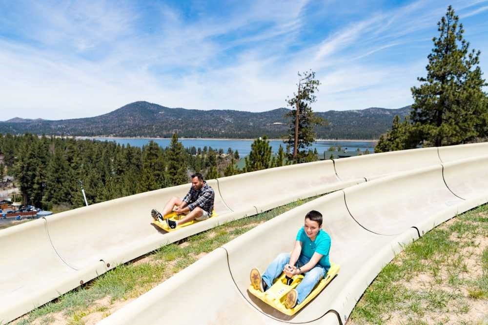 big bear