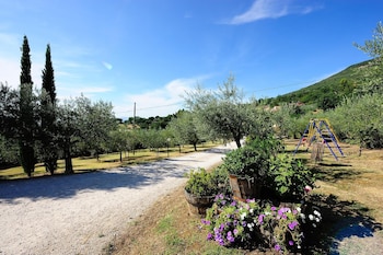 agriturismo colle degli olivi