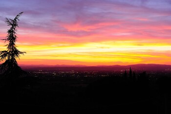 agriturismo colle degli olivi