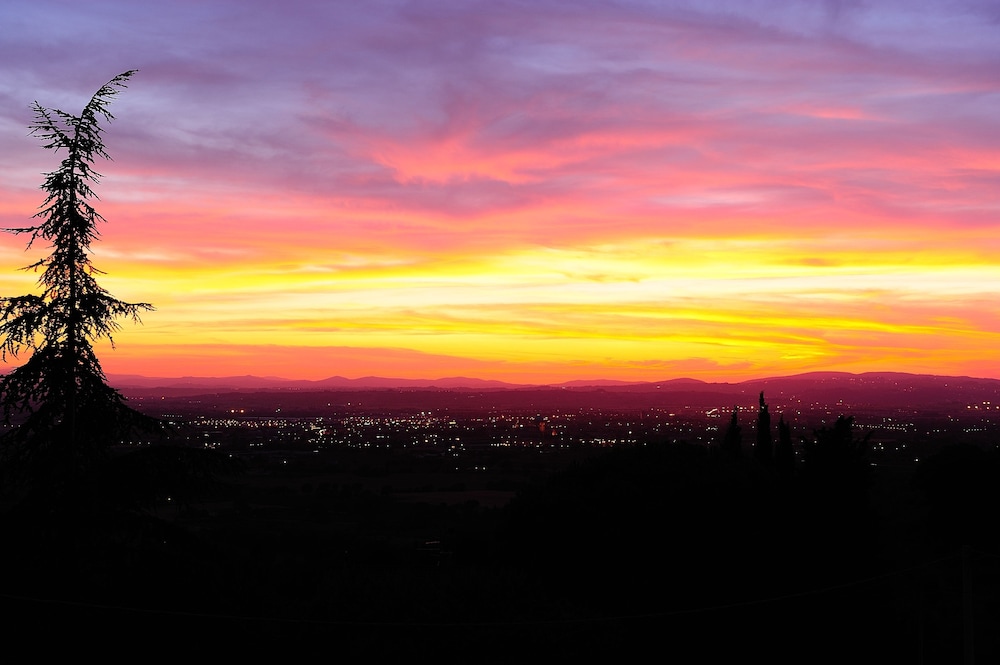 agriturismo colle degli olivi