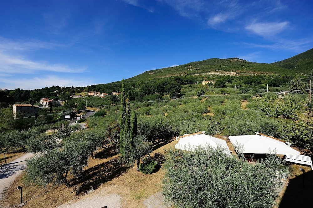 agriturismo colle degli olivi