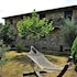 agriturismo colle degli olivi