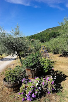 agriturismo colle degli olivi