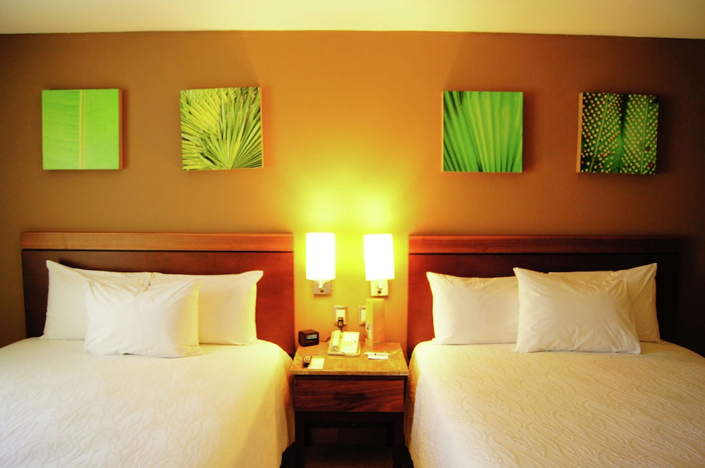 hilton garden inn boca del rio veracruz