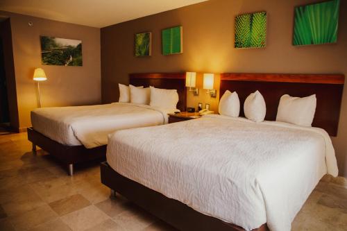 hilton garden inn boca del rio veracruz