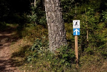 billingehus