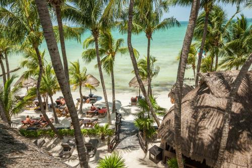 beachfront hotel la palapa adults only
