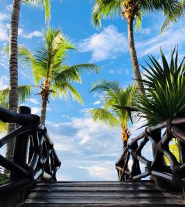 beachfront hotel la palapa adults only