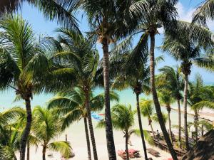 beachfront hotel la palapa adults only