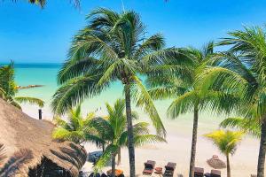 beachfront hotel la palapa adults only