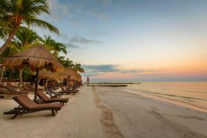 beachfront hotel la palapa adults only