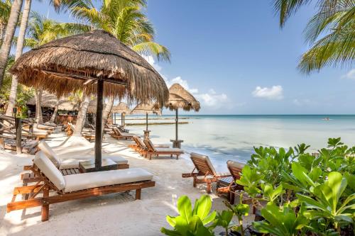 beachfront hotel la palapa adults only